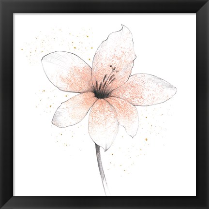 Framed Coral Graphite Flower II Print