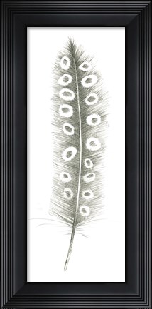 Framed Feather Sketches VII Print