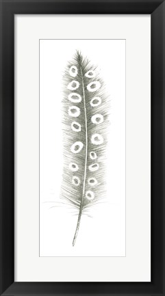 Framed Feather Sketches VII Print