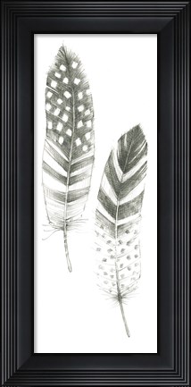 Framed Feather Sketches VIII Print