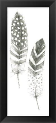 Framed Feather Sketches VIII Print