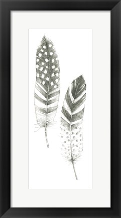 Framed Feather Sketches VIII Print