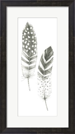 Framed Feather Sketches VIII Print