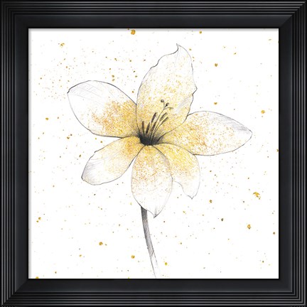 Framed Gilded Graphite Floral II Print
