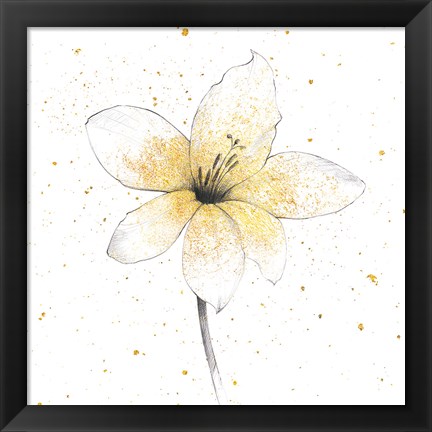 Framed Gilded Graphite Floral II Print