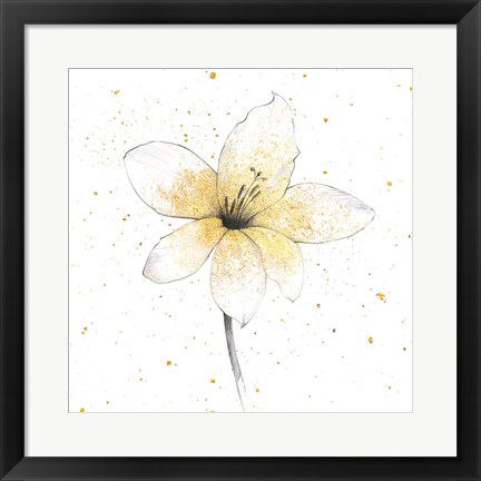 Framed Gilded Graphite Floral II Print