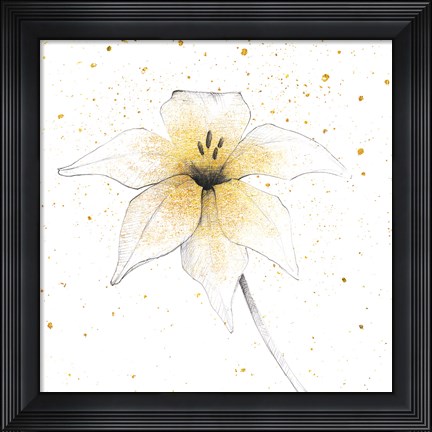 Framed Gilded Graphite Floral V Print