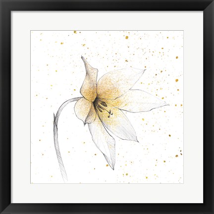 Framed Gilded Graphite Floral VIII Print