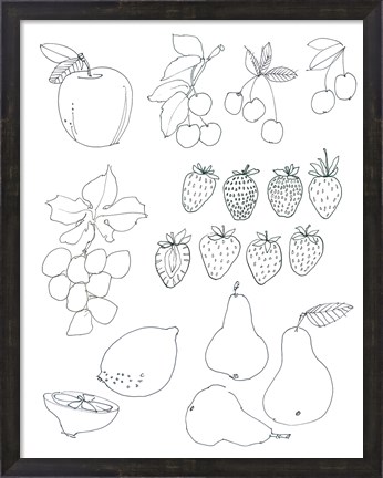 Framed Line Art Fruits Print