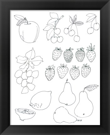 Framed Line Art Fruits Print