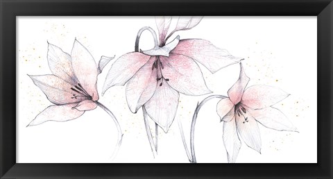 Framed Pink Graphite Floral Trio Print