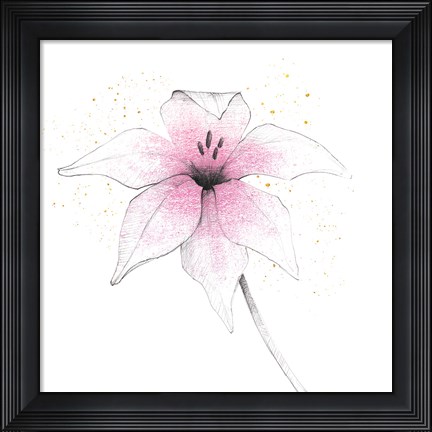 Framed Pink Graphite Flower V Print