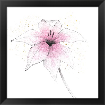 Framed Pink Graphite Flower V Print