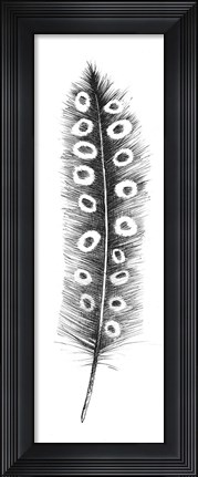 Framed Spirit Feather VIIIa Print