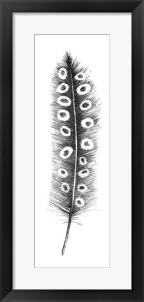 Framed Spirit Feather VIIIa Print