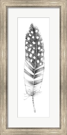 Framed Spirit Feather VIIIb Print