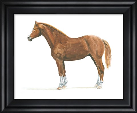 Framed Natural Charm II Print