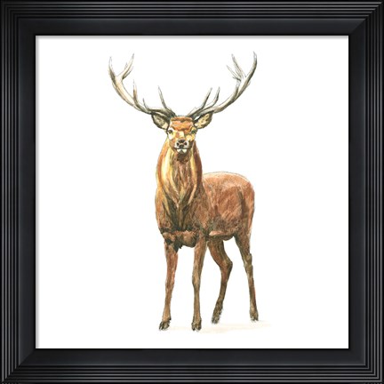 Framed Natural Majesty II Print