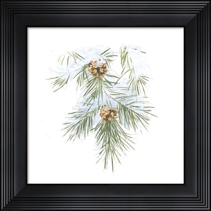Framed Into the Woods Pinecone III Print