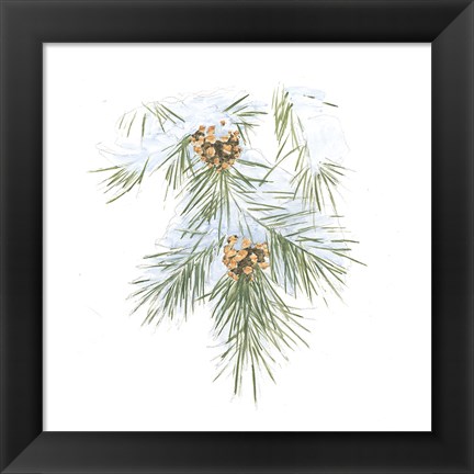 Framed Into the Woods Pinecone III Print