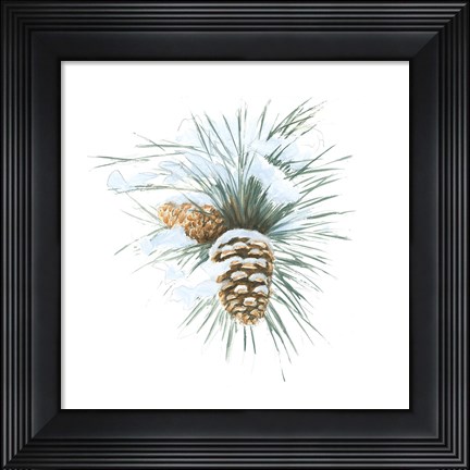 Framed Into the Woods Pinecone II Print