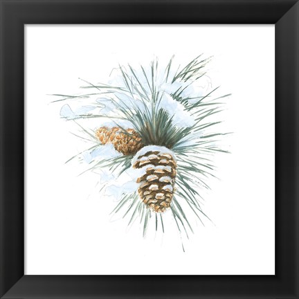 Framed Into the Woods Pinecone II Print