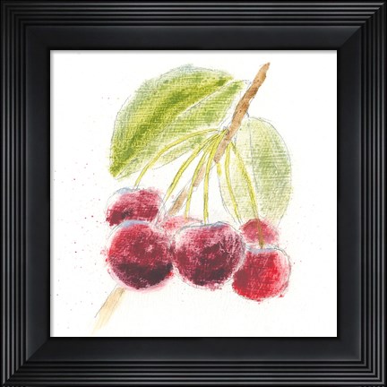 Framed Garden Delight III Print