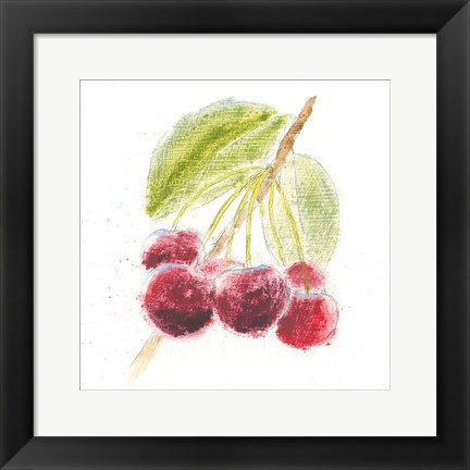 Framed Garden Delight III Print