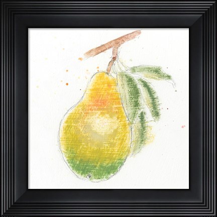 Framed Garden Delight V Print