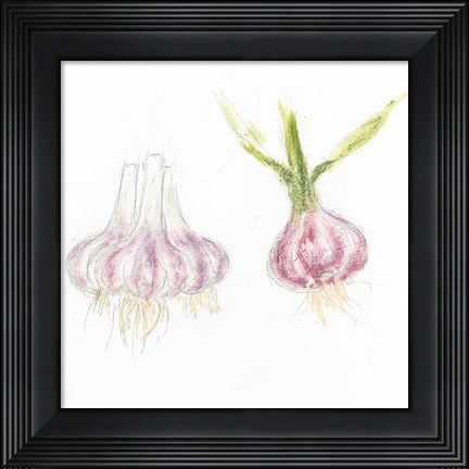 Framed Garden Delight IX Print