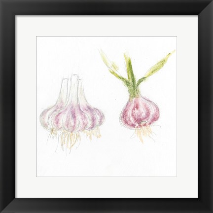 Framed Garden Delight IX Print