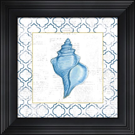 Framed Navy Conch Shell on Newsprint with Gold Print