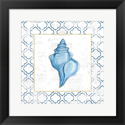 Framed Navy Conch Shell on Newsprint with Gold Print