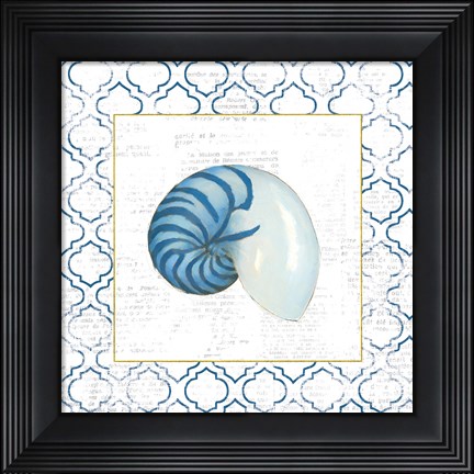 Framed Navy Nautilus Shell on Newsprint with Gold Print