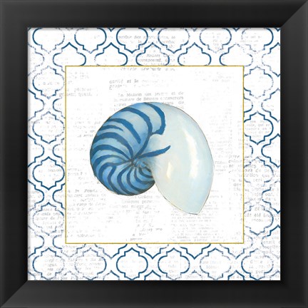 Framed Navy Nautilus Shell on Newsprint with Gold Print