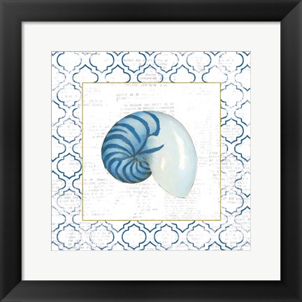 Framed Navy Nautilus Shell on Newsprint with Gold Print