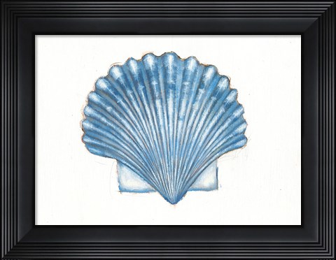 Framed Navy Scallop Shell Print