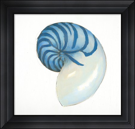 Framed Navy Nautilus Shell Print