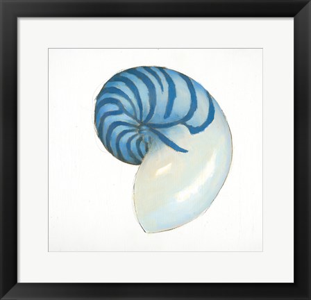 Framed Navy Nautilus Shell Print