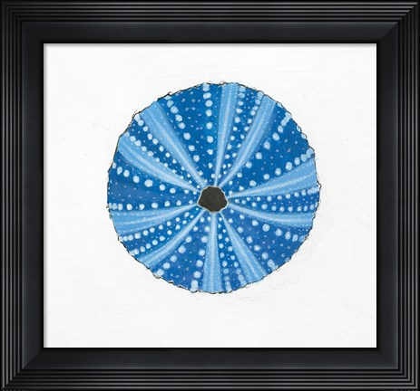 Framed Navy Circular Shell Print