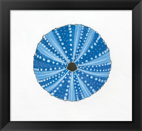 Framed Navy Circular Shell Print