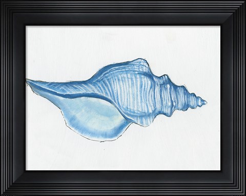 Framed Navy Conch Shell Print