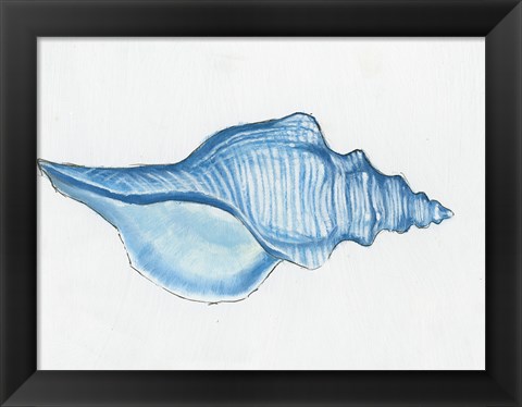 Framed Navy Conch Shell Print