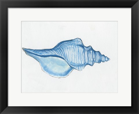 Framed Navy Conch Shell Print