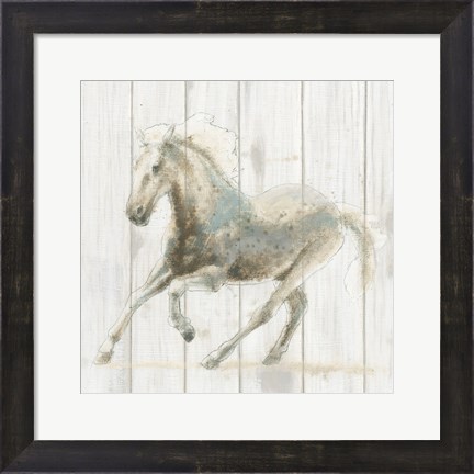 Framed Stallion II on Birch Print