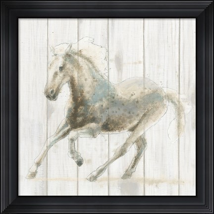 Framed Stallion II on Birch Print