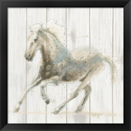 Framed Stallion II on Birch Print