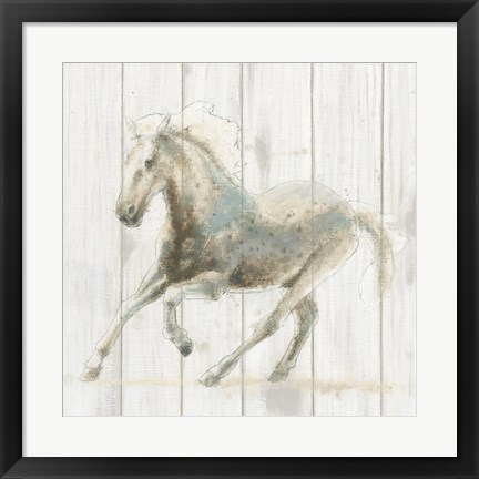 Framed Stallion II on Birch Print