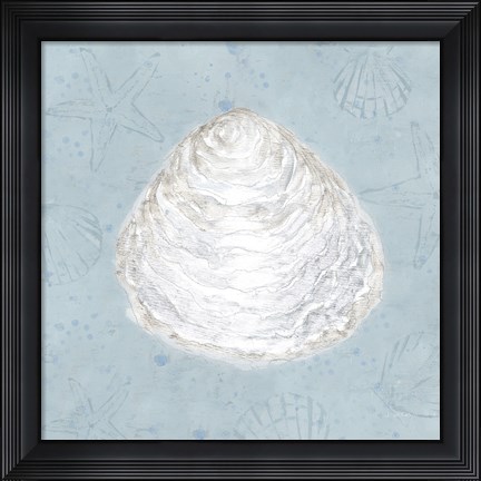 Framed Serene Shells I Print
