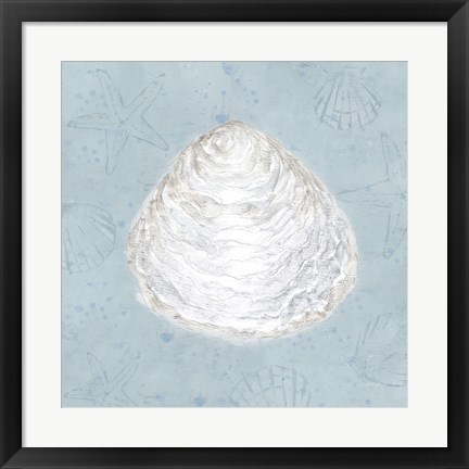 Framed Serene Shells I Print